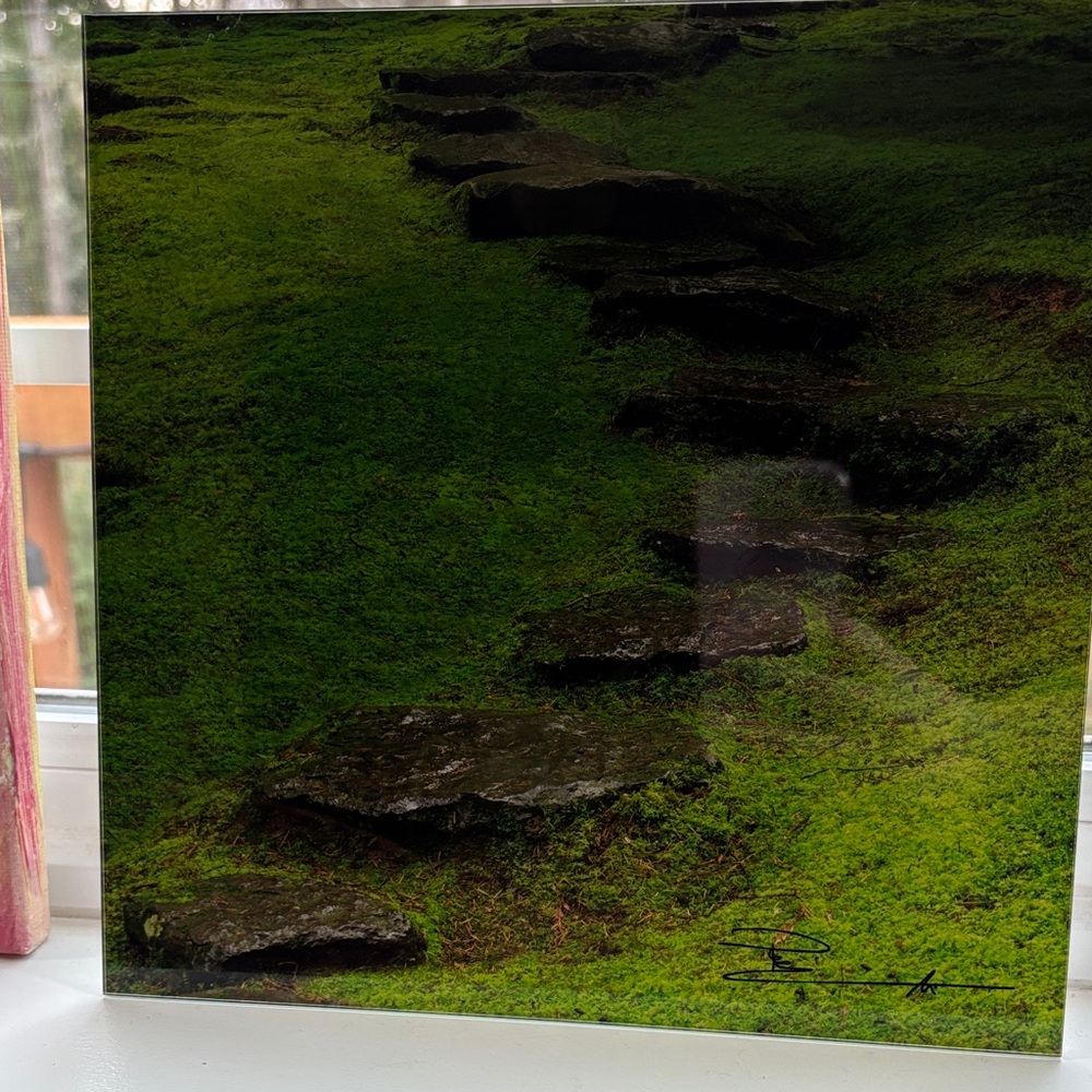 Peter Lik -Green and Black Nature Pathway Art Print
